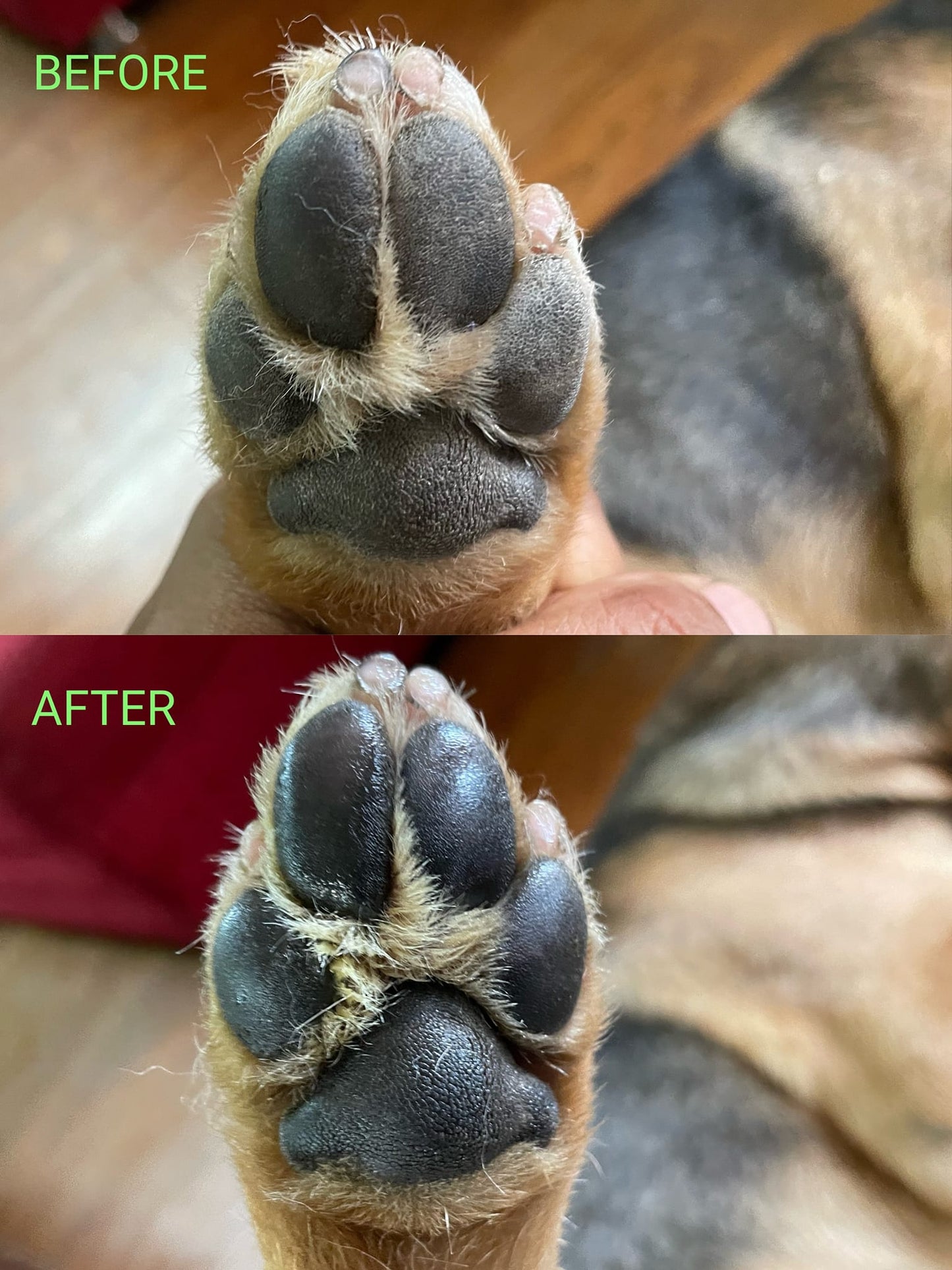 Organic Pet Paw, Nose and Skin Balm